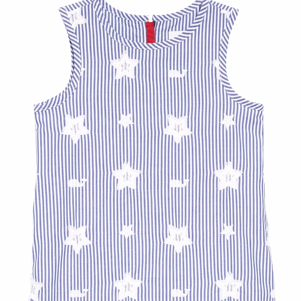 Stars & Whales Embroidered Shift Dress